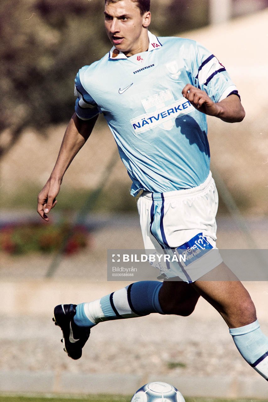 Zlatan Ibrahimovic, Malmö