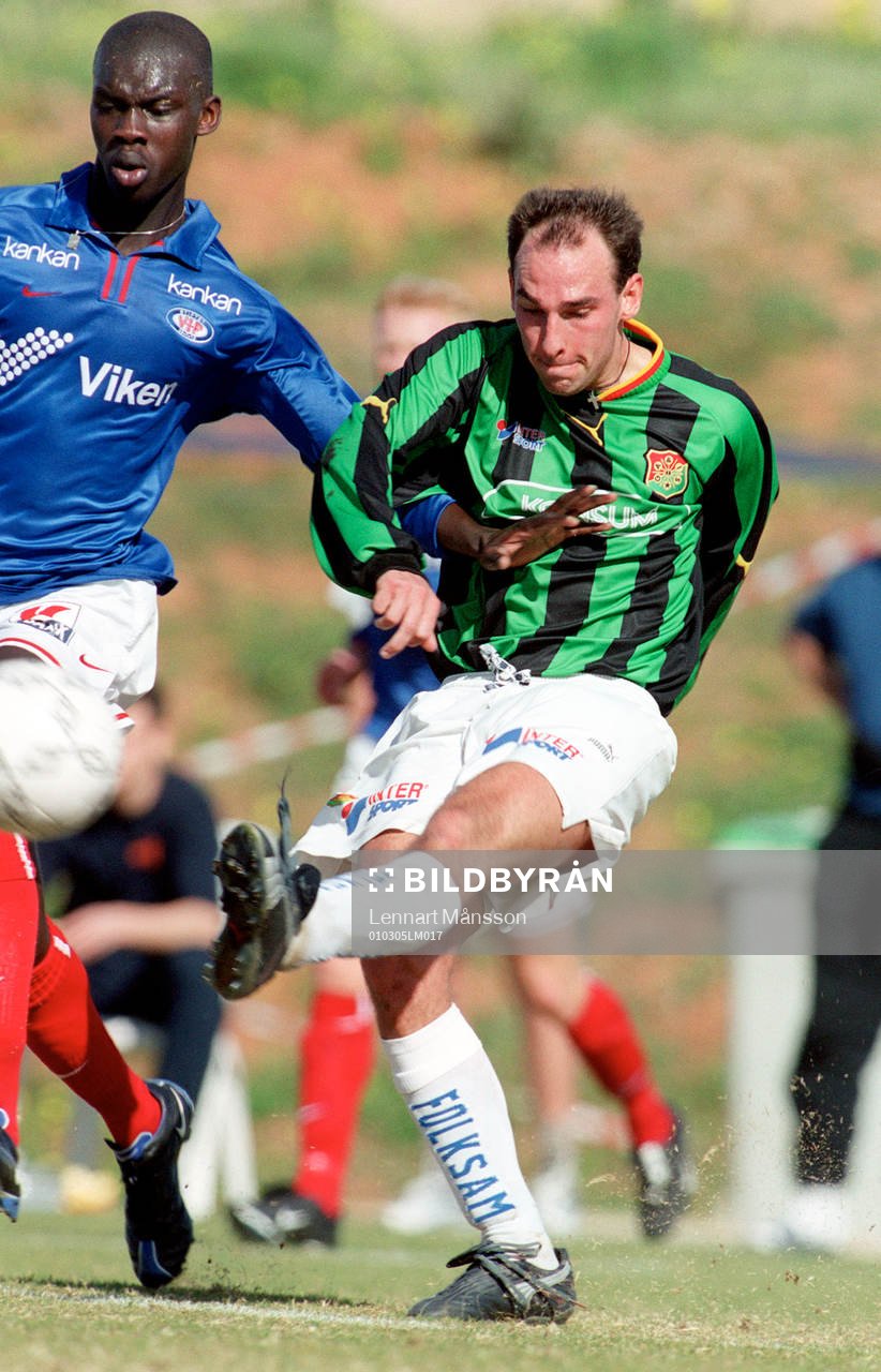 Björn Enqvist, Gais