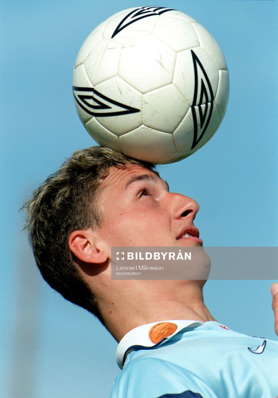 Zlatan Ibrahimovic, Malmö