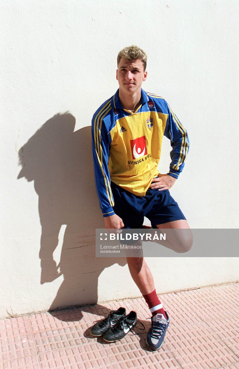 Zlatan Ibrahimovic, Sverige