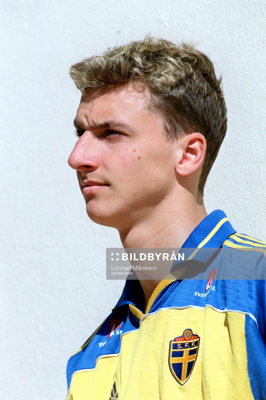 Zlatan Ibrahimovic, Sverige