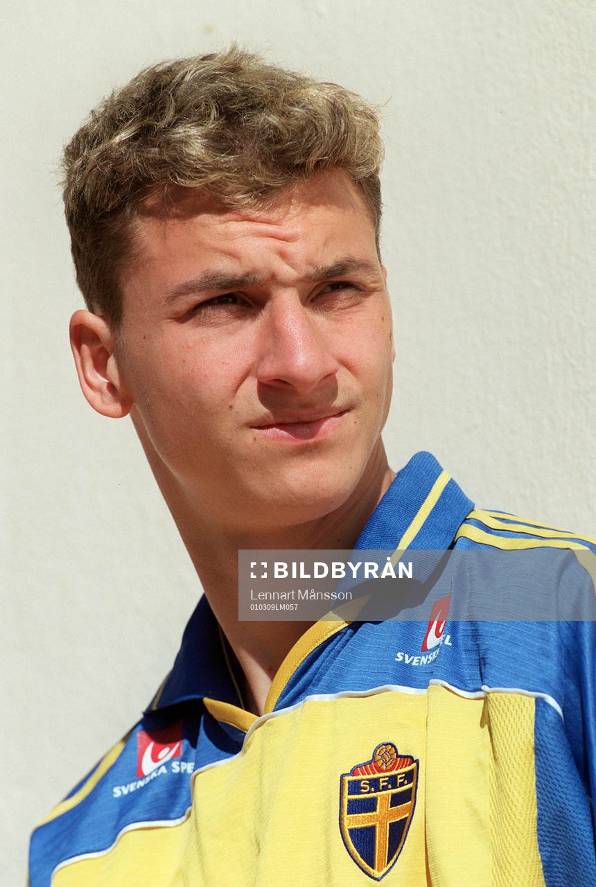 Zlatan Ibrahimovic, Sverige