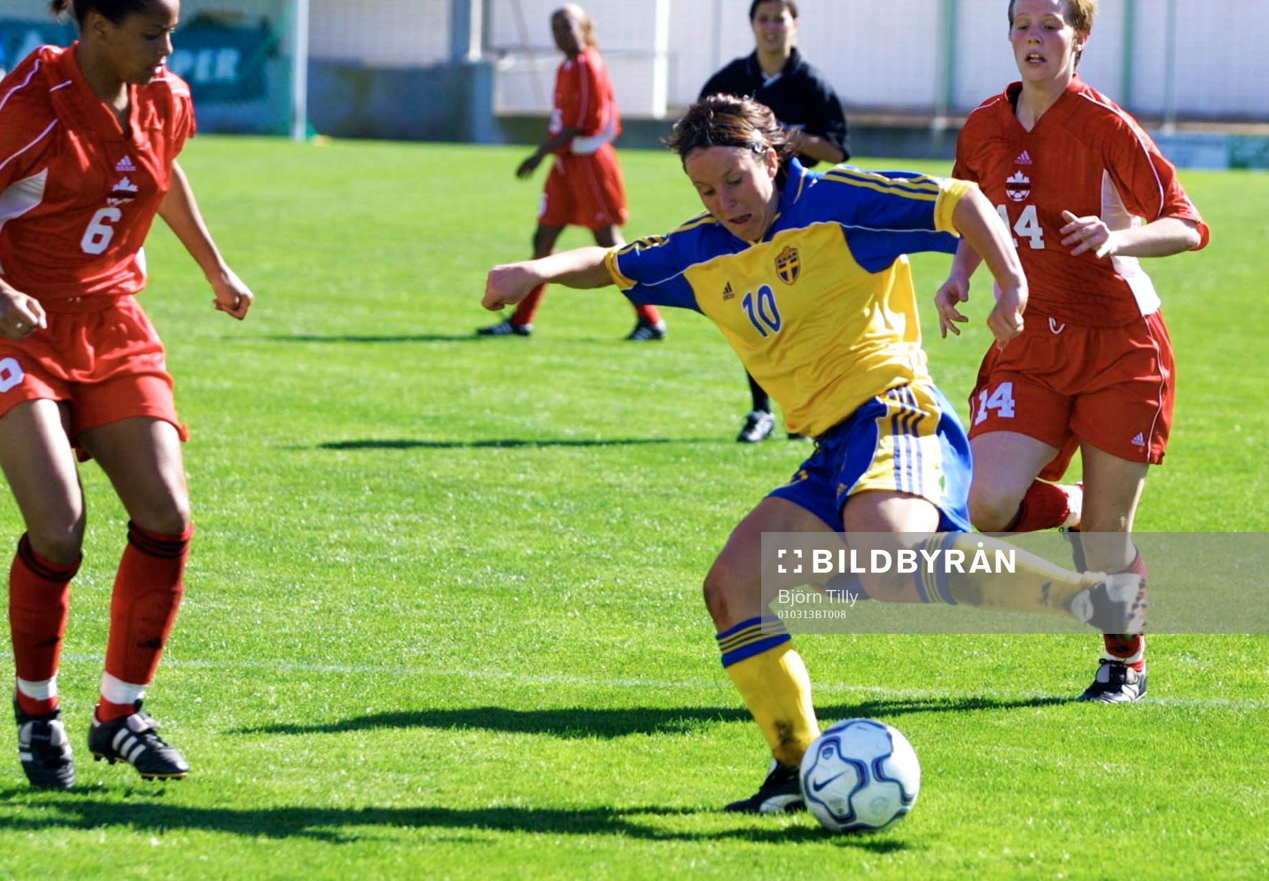 Hanna Ljungberg, Sverige