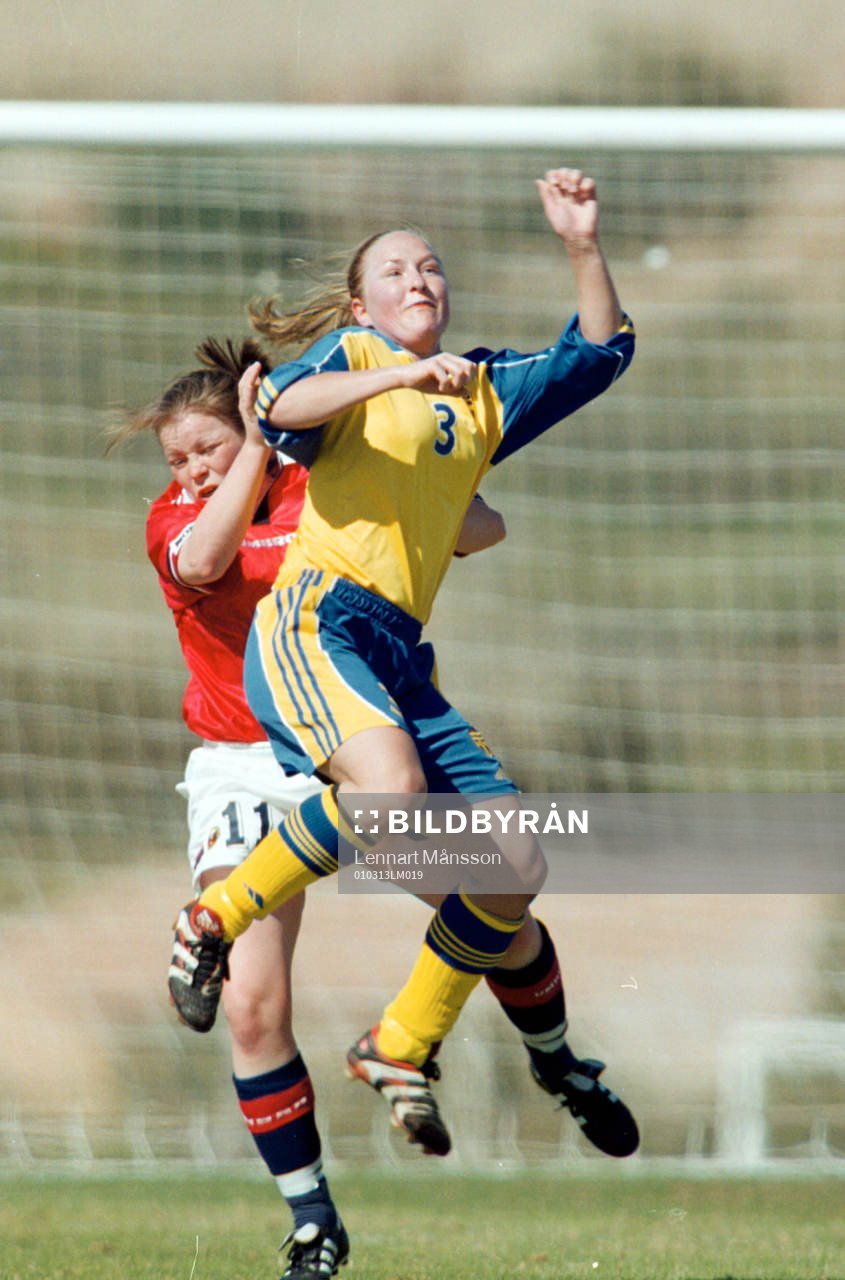 Anna-Karin Andersson, Sverige