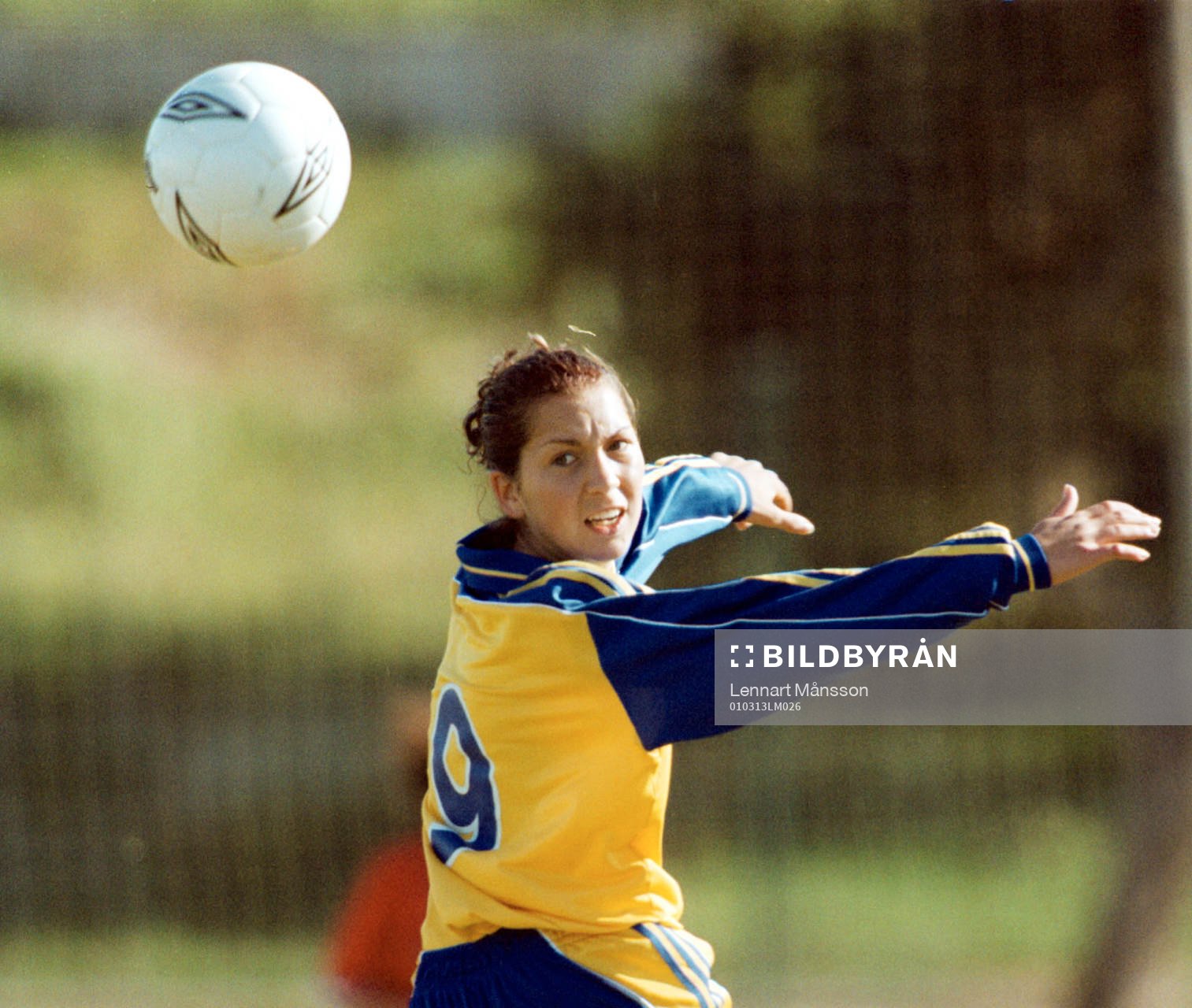 Susanne Nilsson, Sverige