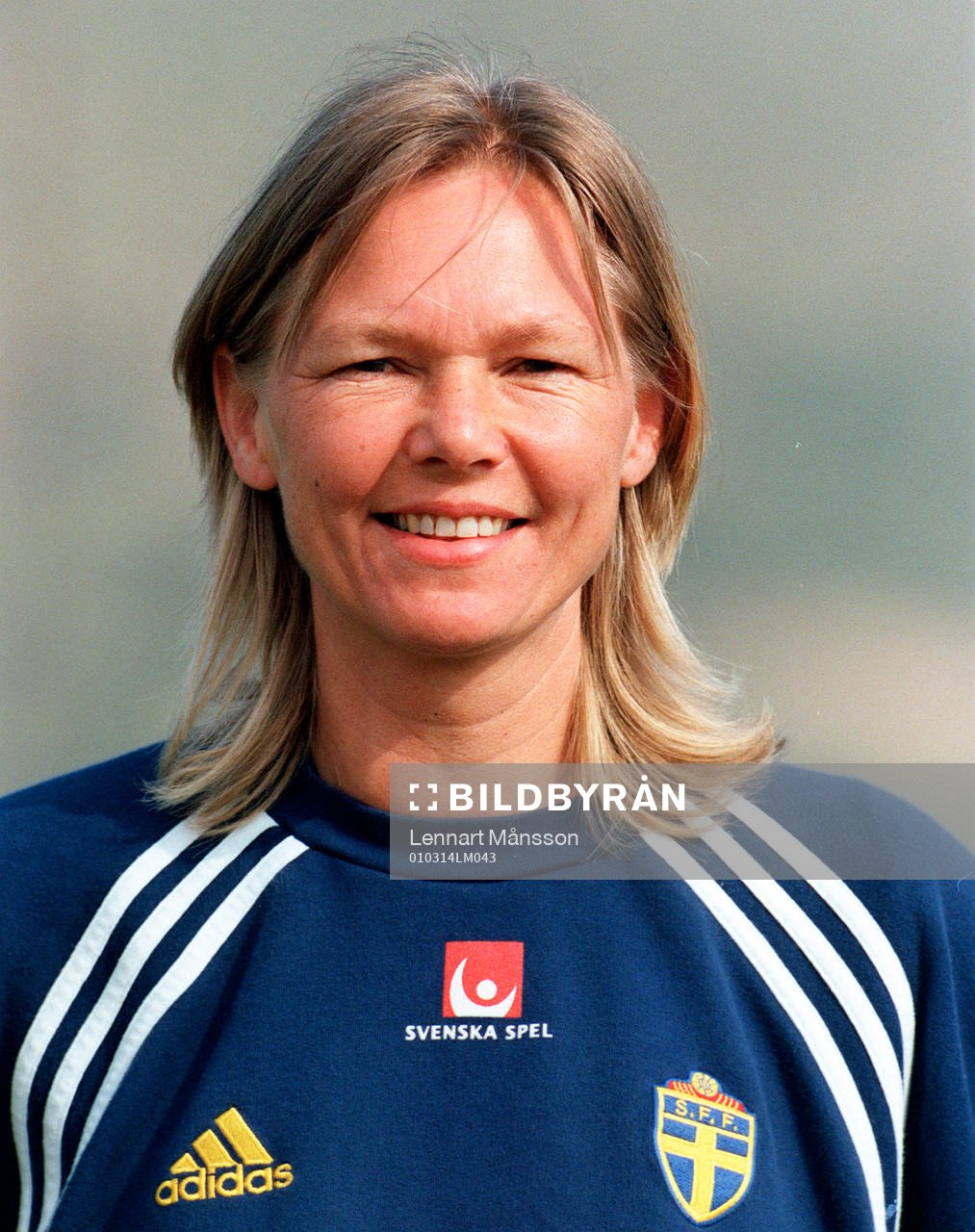 Anna Sinegul, Sverige, förbundskapten