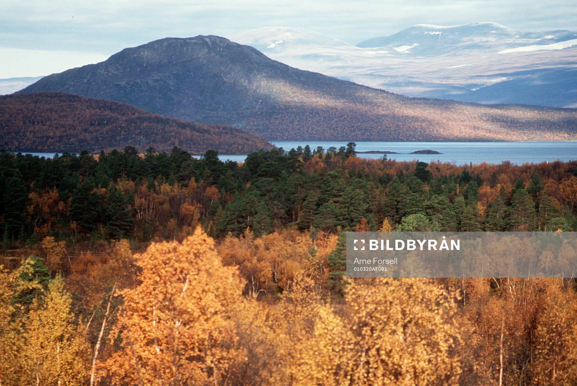 Berg, fjäll, fjällvärld, Lappland