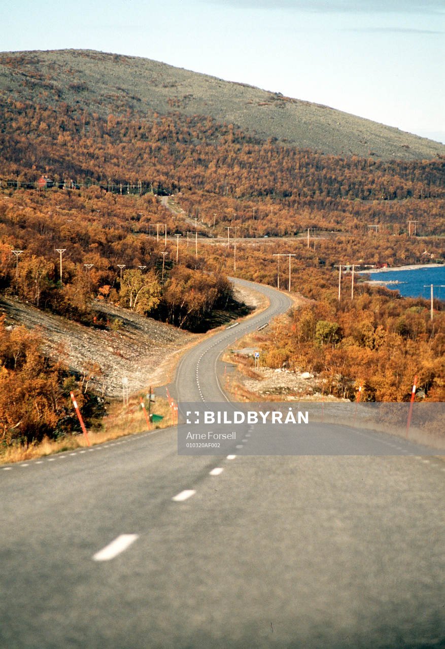 Berg, fjäll, fjällvärld, Lappland, väg