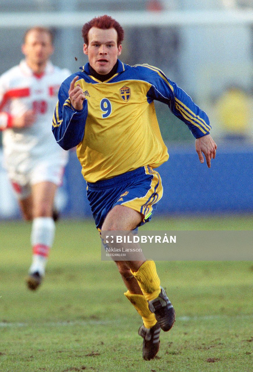 Fredrik Ljungberg, Sverige