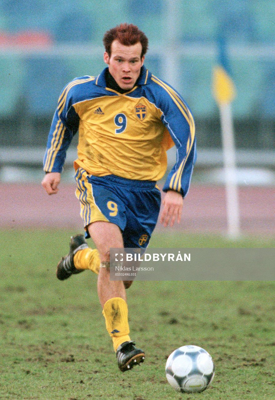 Fredrik Ljungberg, Sverige