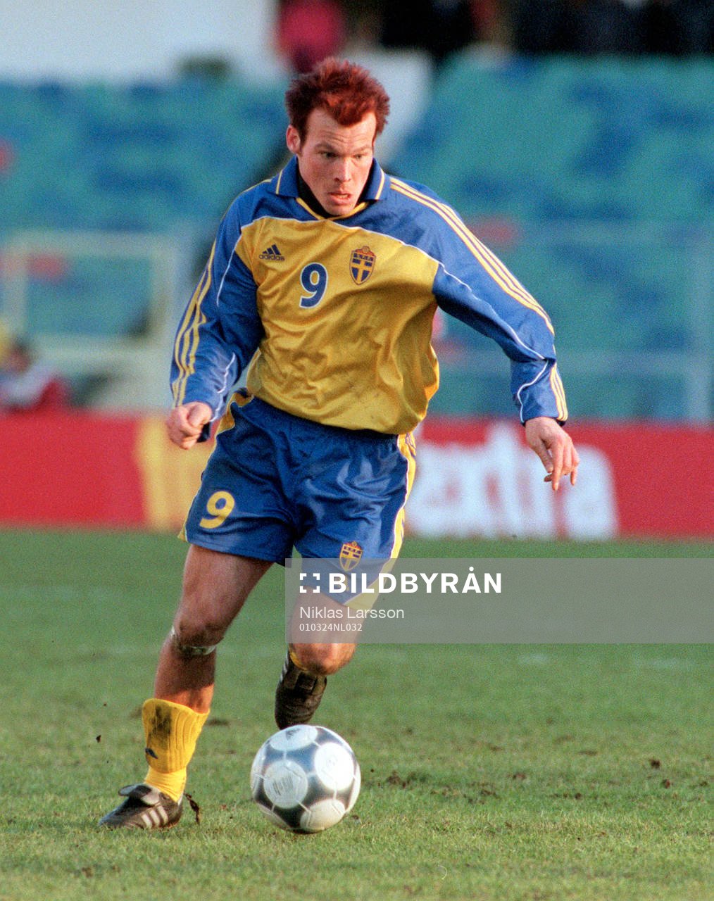 Fredrik Ljungberg, Sverige