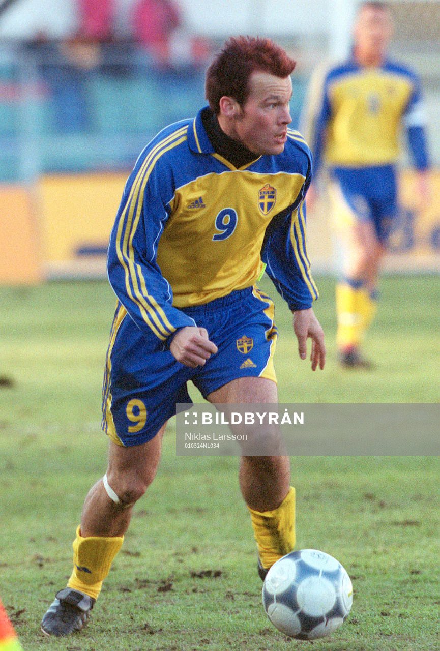 Fredrik Ljungberg, Sverige