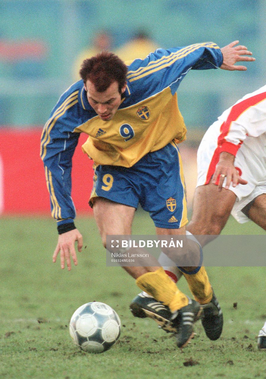 Fredrik Ljungberg, Sverige