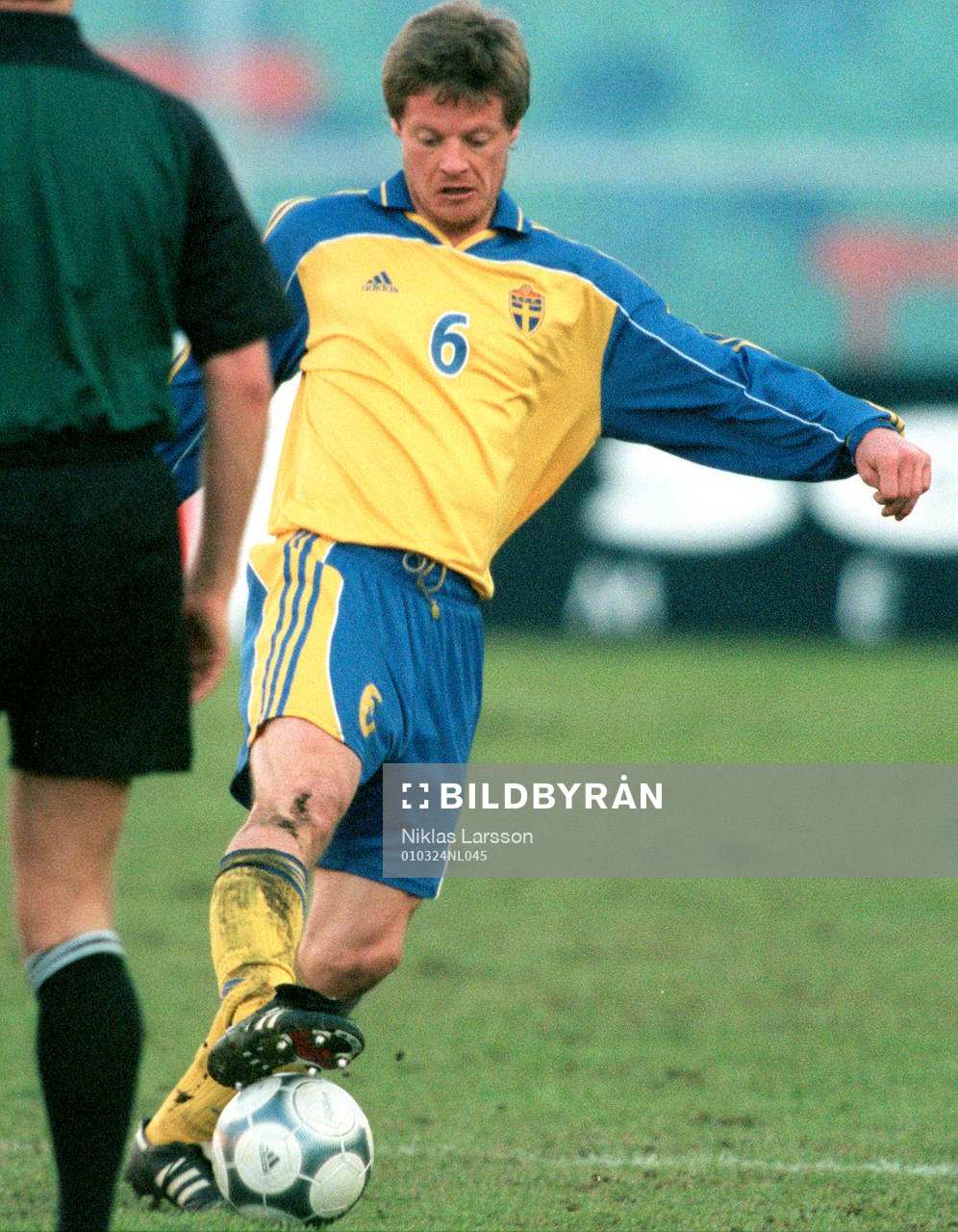 Stefan Schwarz, Sverige