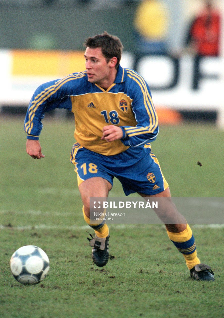 Stefan Selakovic, Sverige