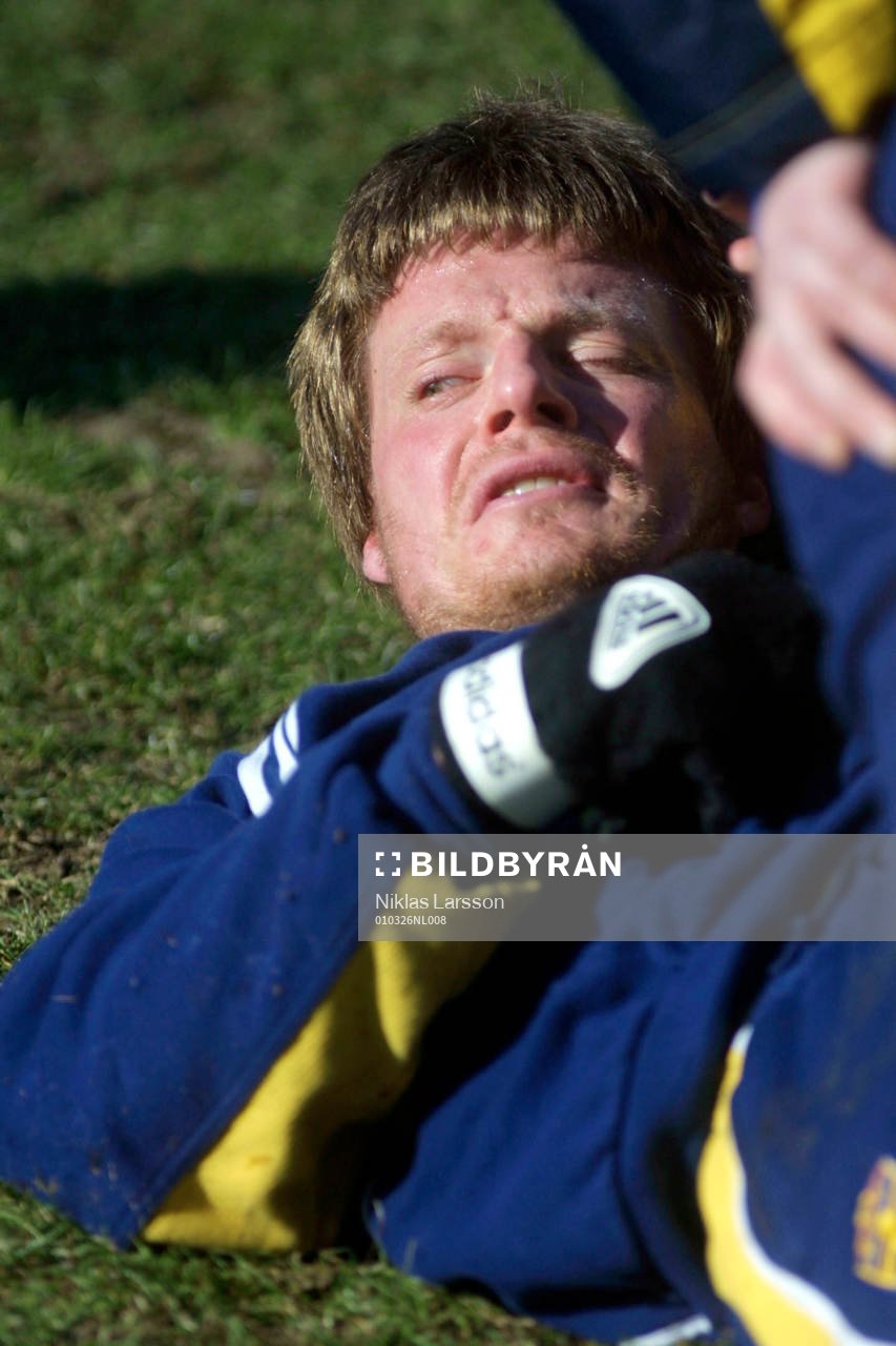  Stefan Schwarz, Sverige