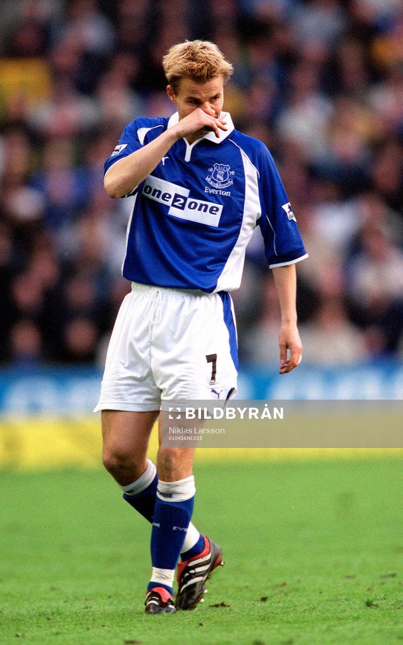 Niklas Alexandersson, Everton