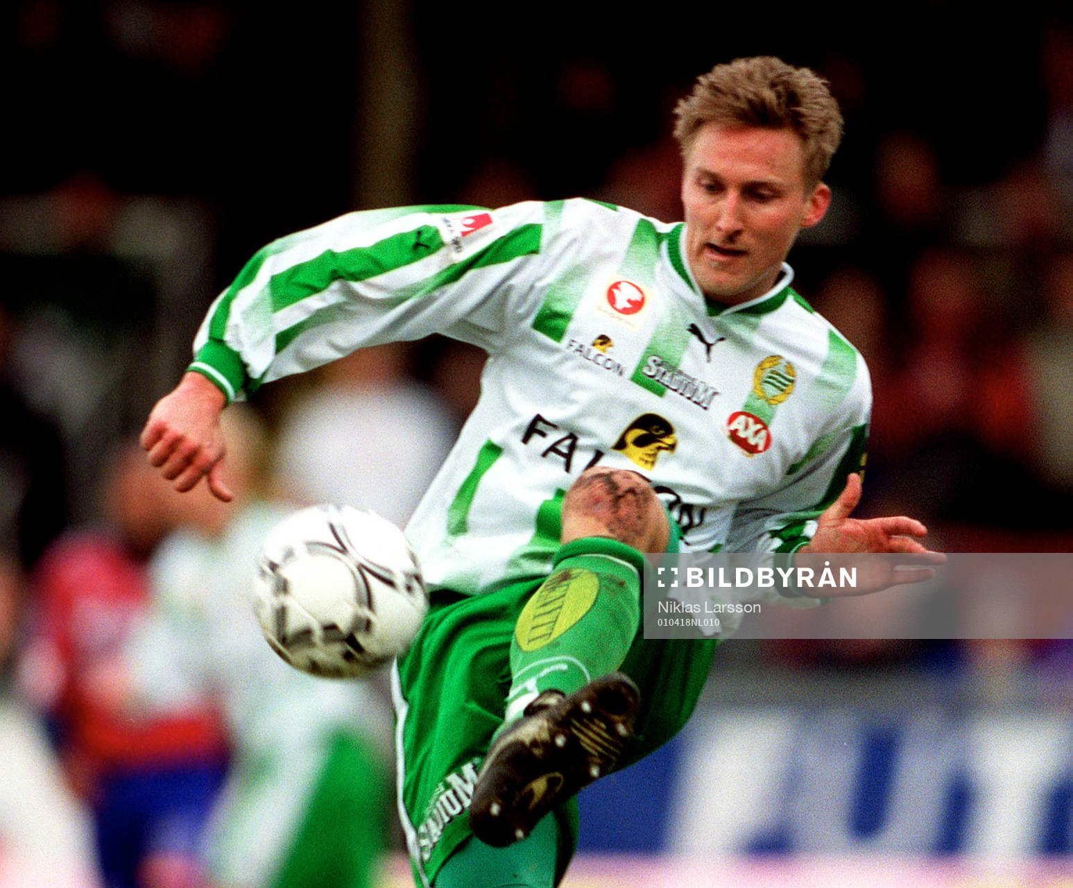 Jonas Stark, Hammarby