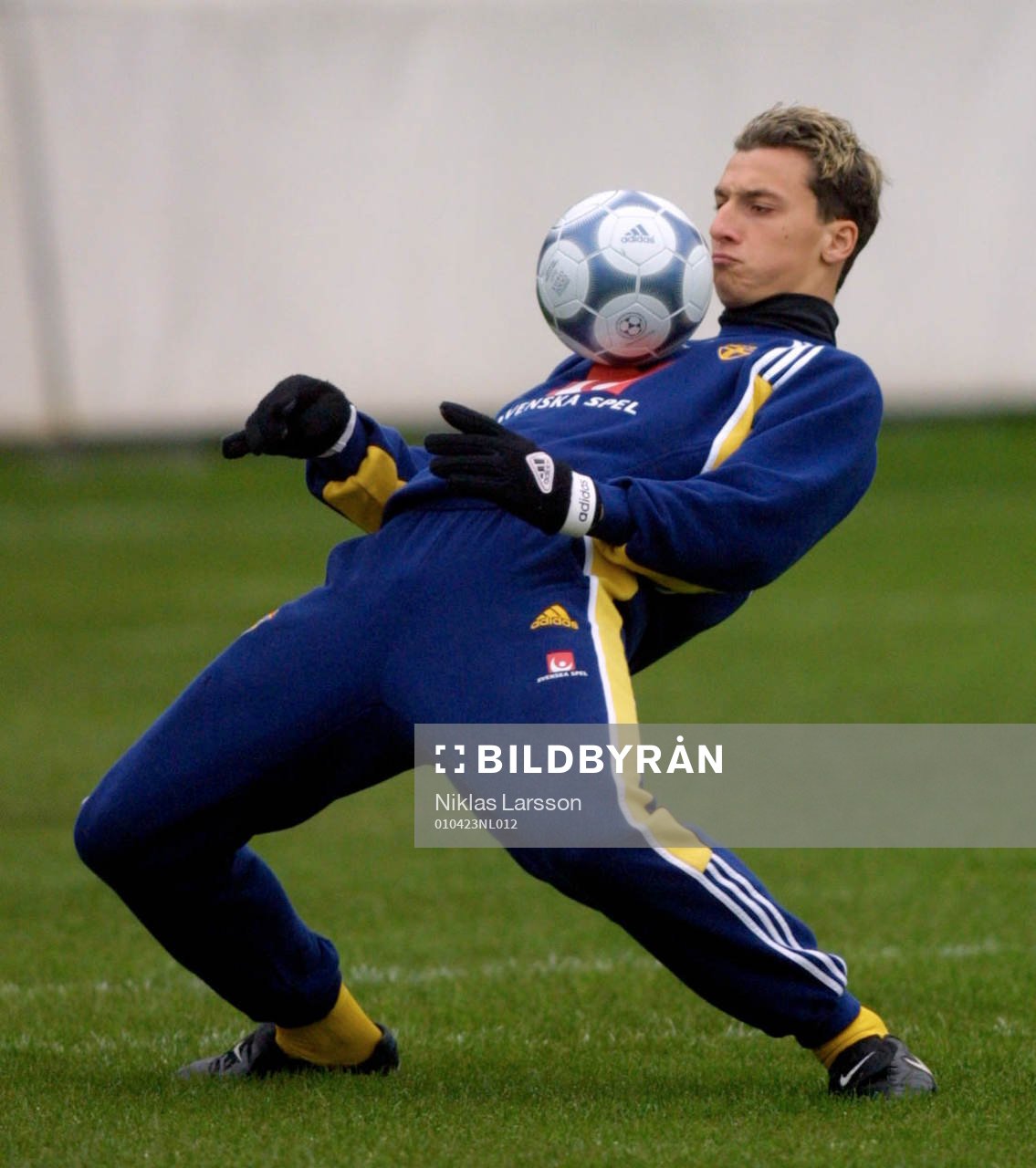 Fotboll, Landslaget,  Zlatan Ibrahimovic, Sverige