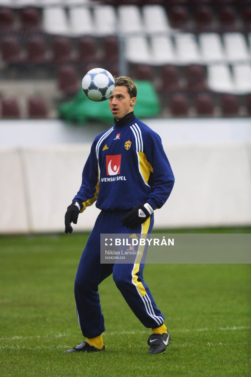 Zlatan Ibrahimovic, Sverige