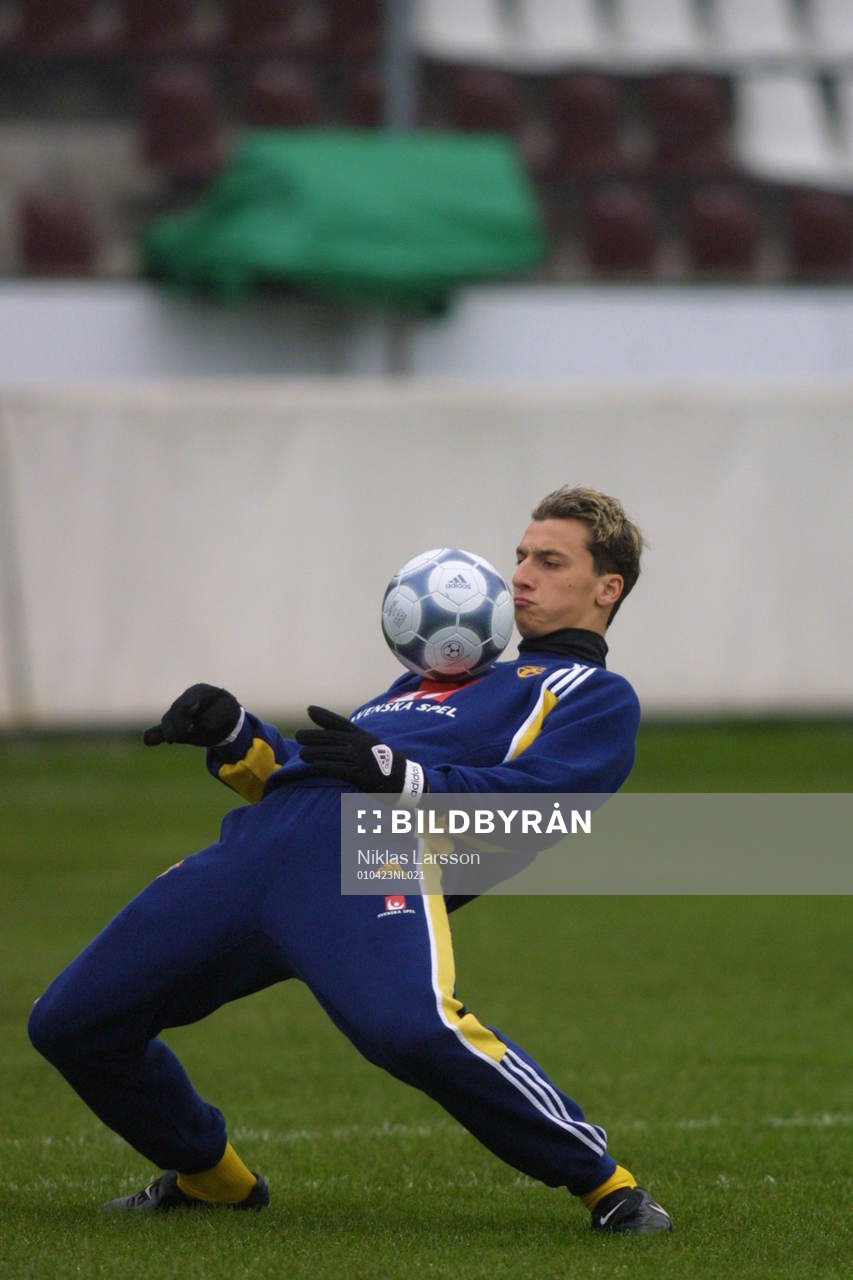Zlatan Ibrahimovic, Sverige