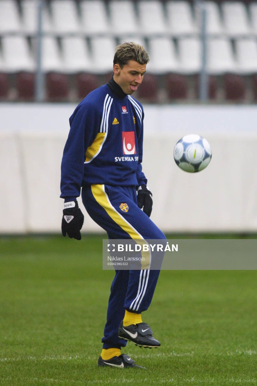 Zlatan Ibrahimovic, Sverige