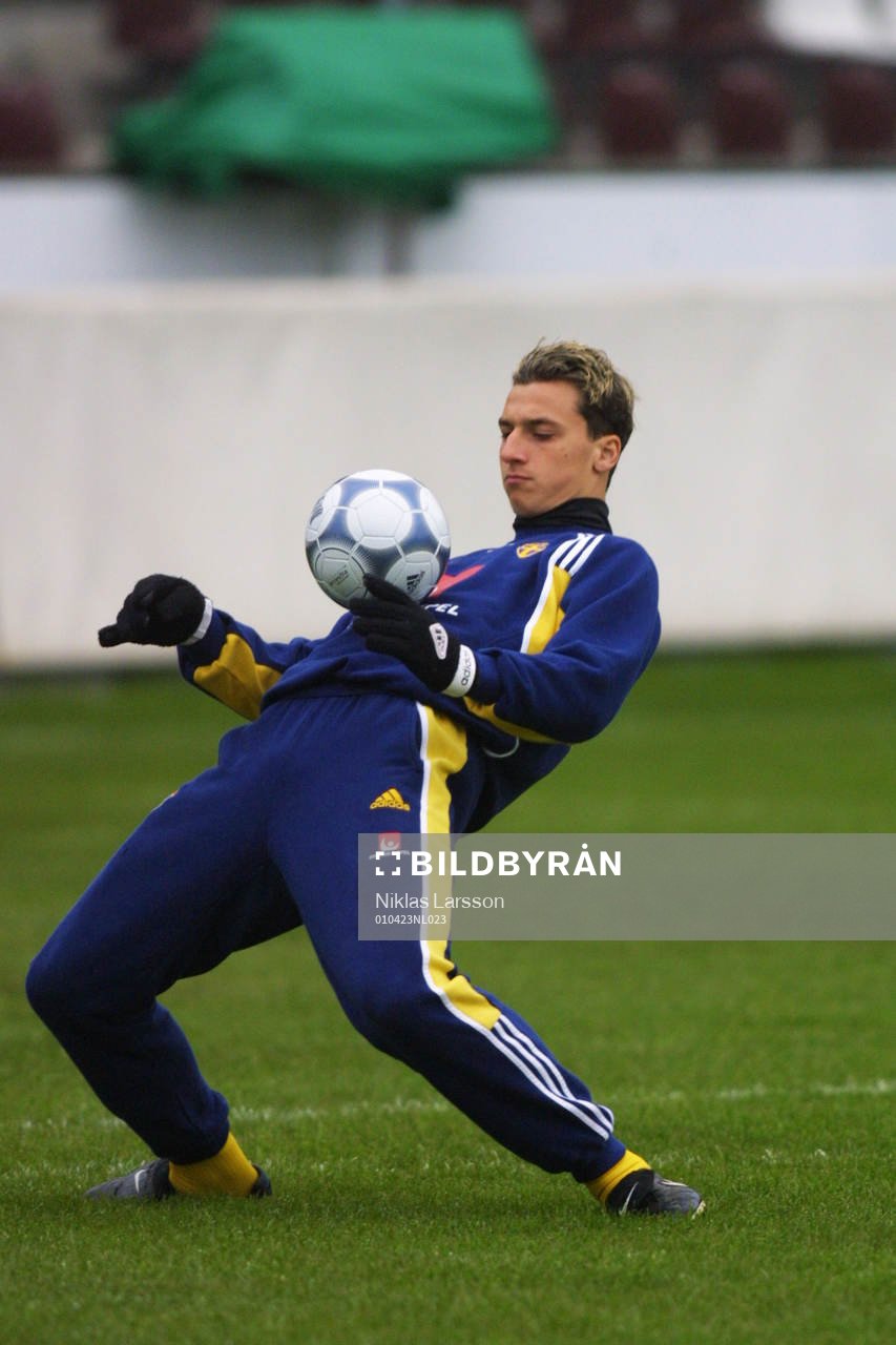 Zlatan Ibrahimovic, Sverige