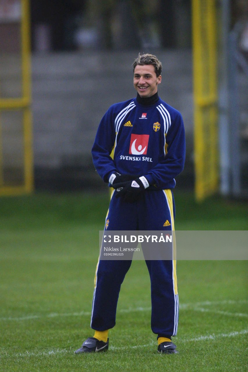 Zlatan Ibrahimovic, Sverige