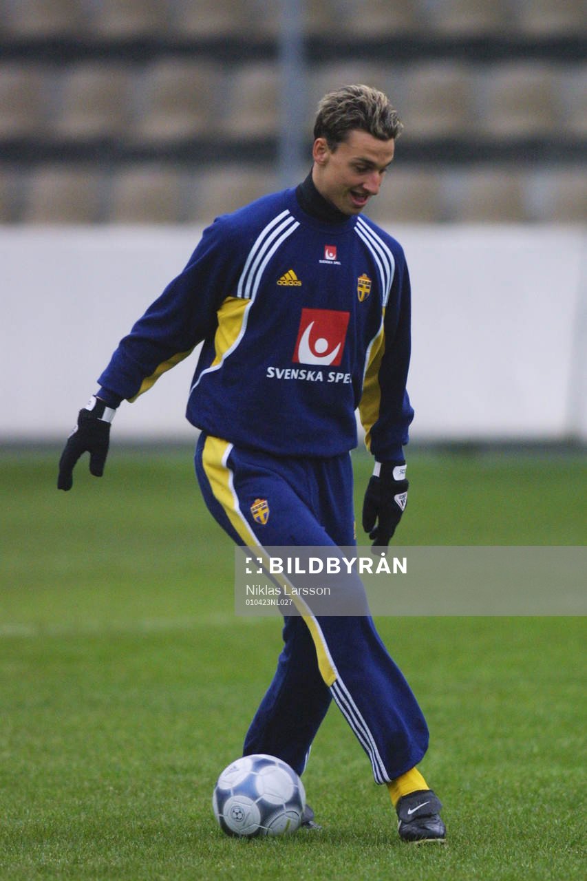 Zlatan Ibrahimovic, Sverige