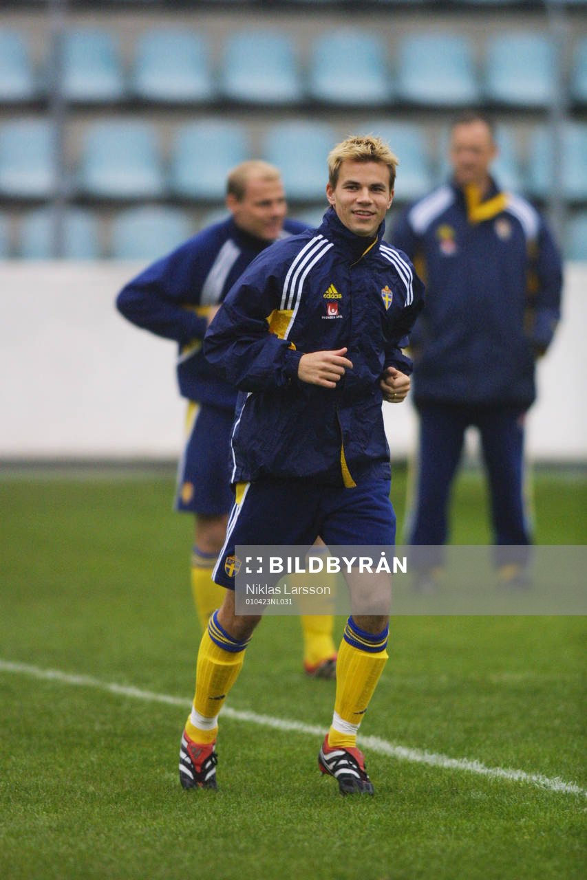 Niclas Alexandersson, Sverige