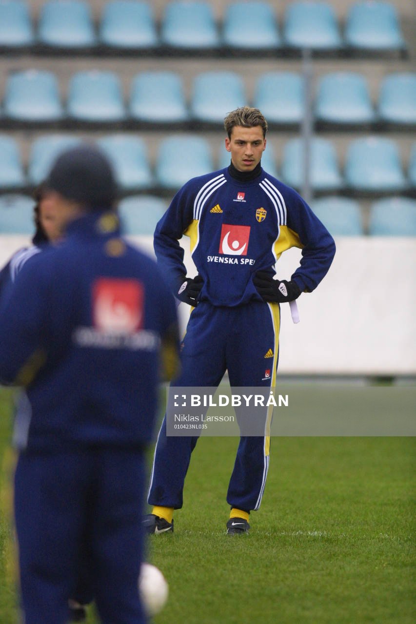 Zlatan Ibrahimovic, Sverige