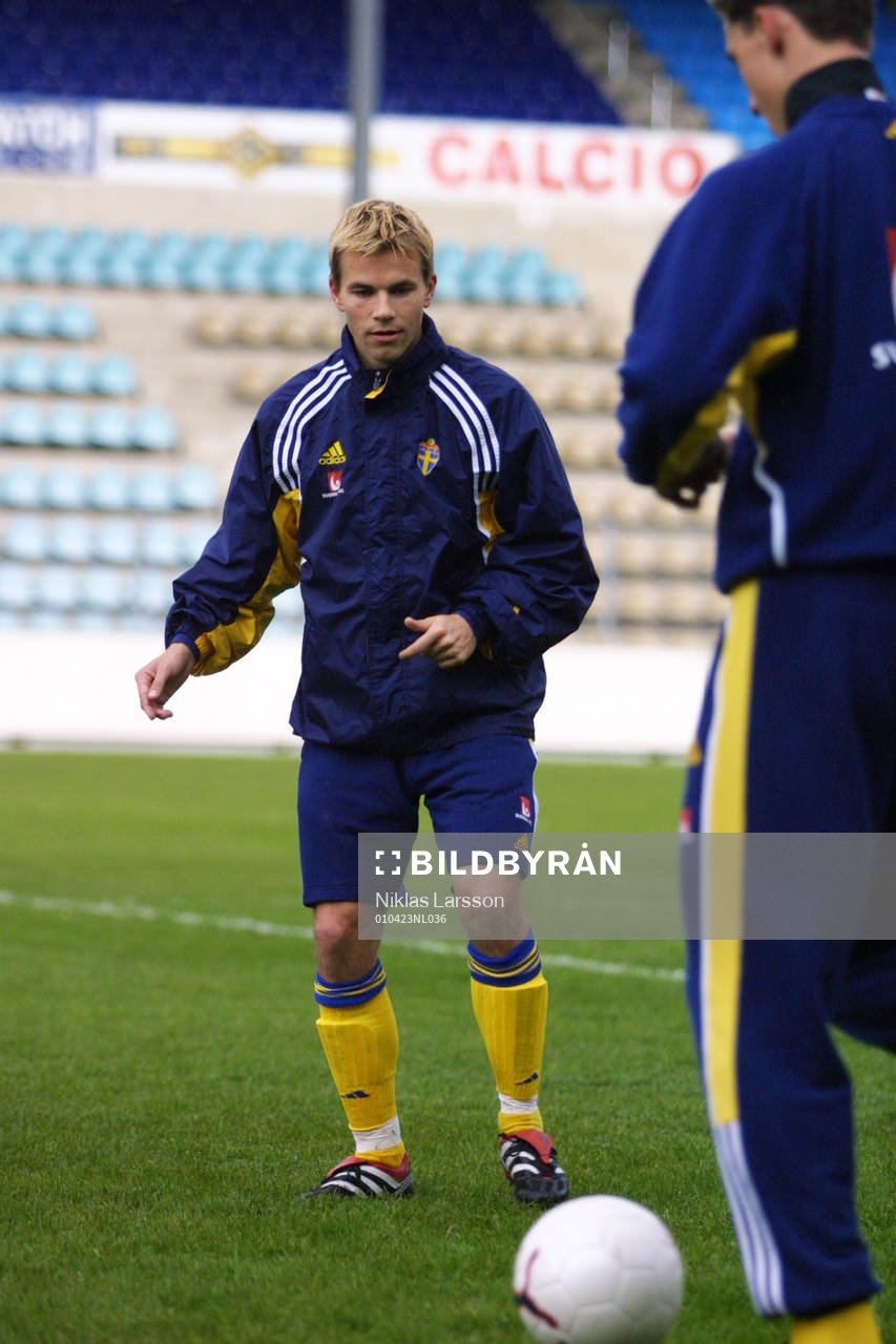 Niclas Alexandersson, Sverige