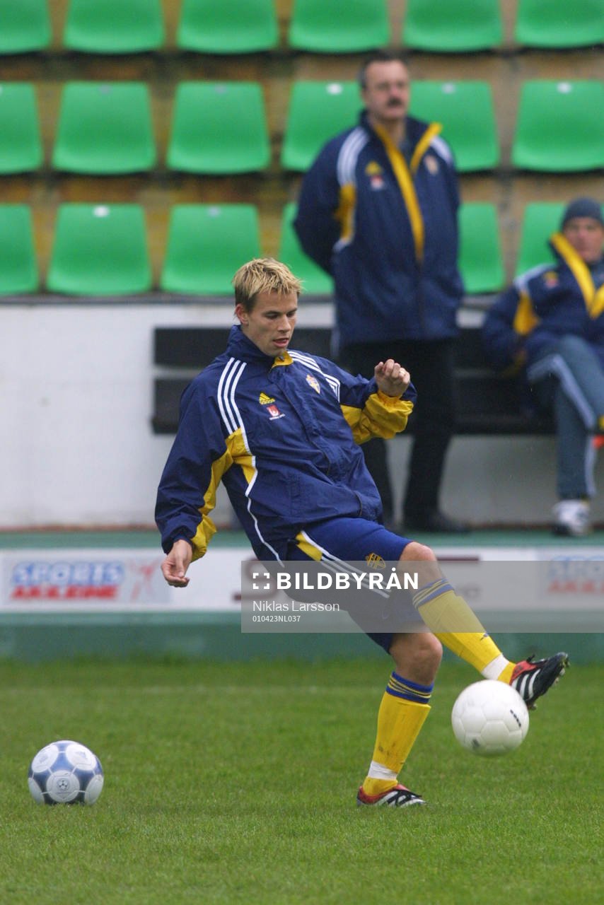 Niclas Alexandersson, Sverige