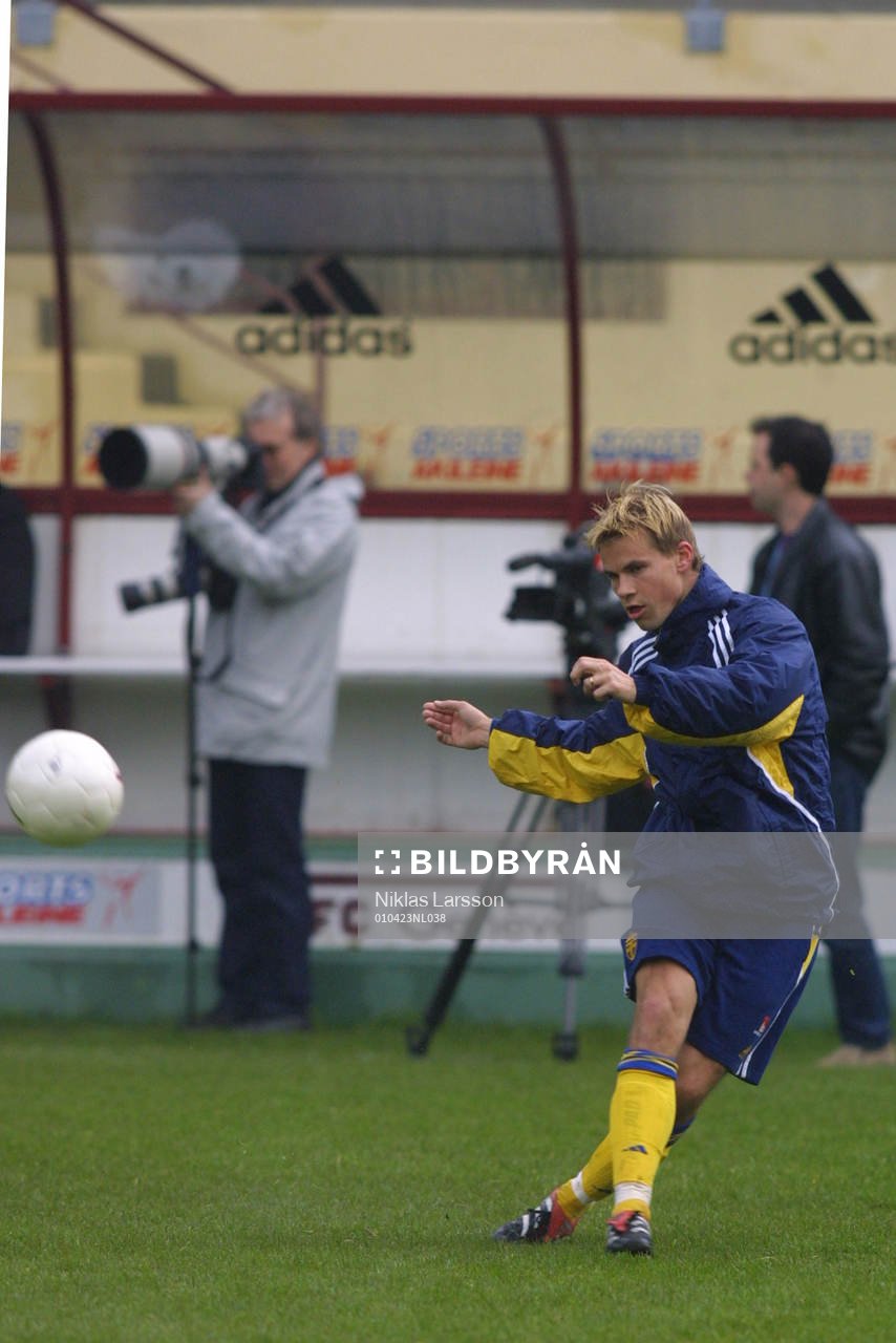 Niclas Alexandersson, Sverige