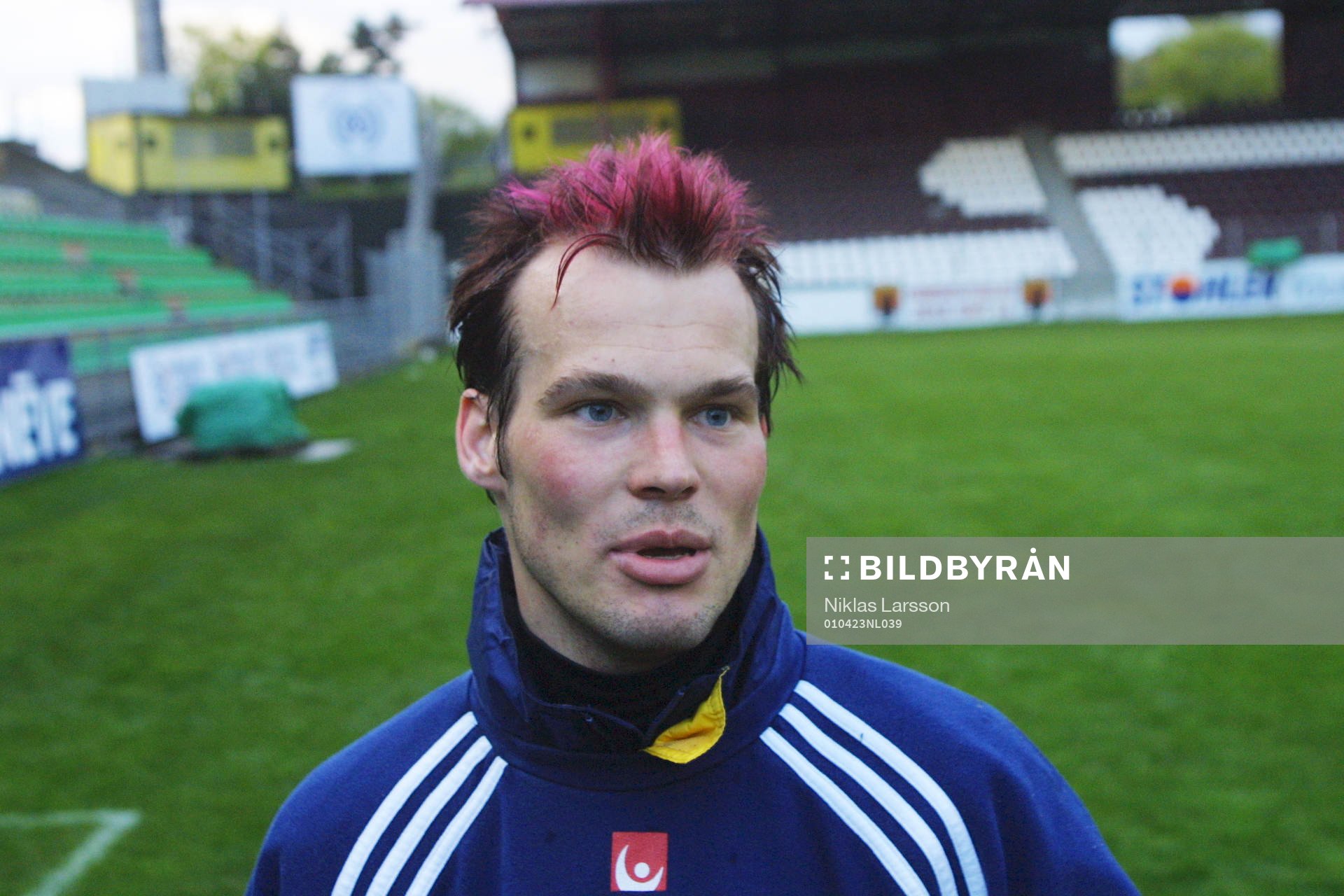 Fredrik Ljungberg, Sverige