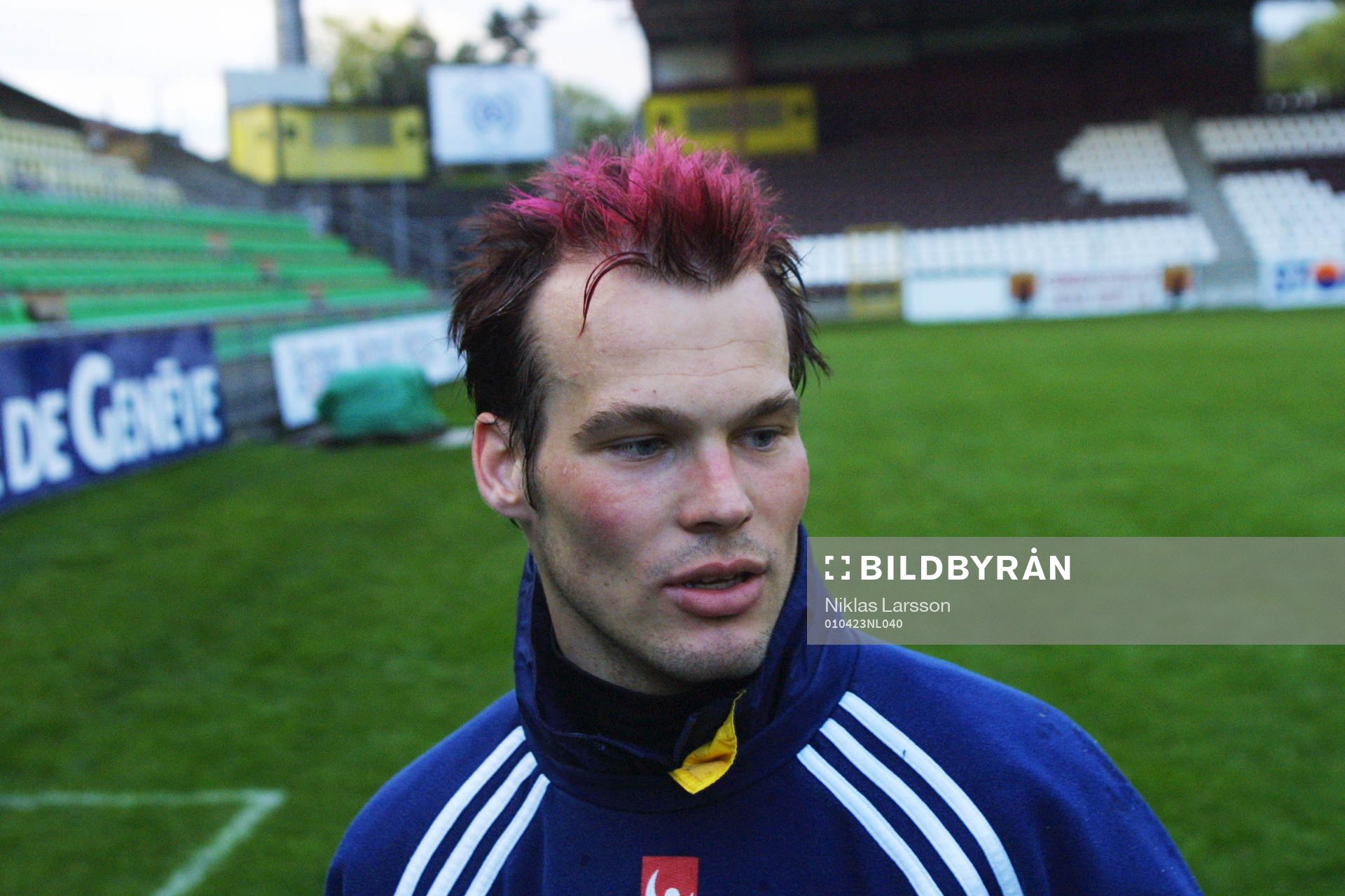 Fredrik Ljungberg, Sverige