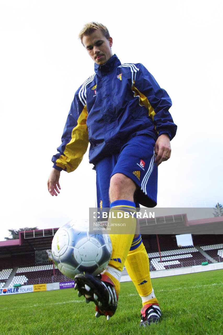 Niclas Alexandersson, Sverige