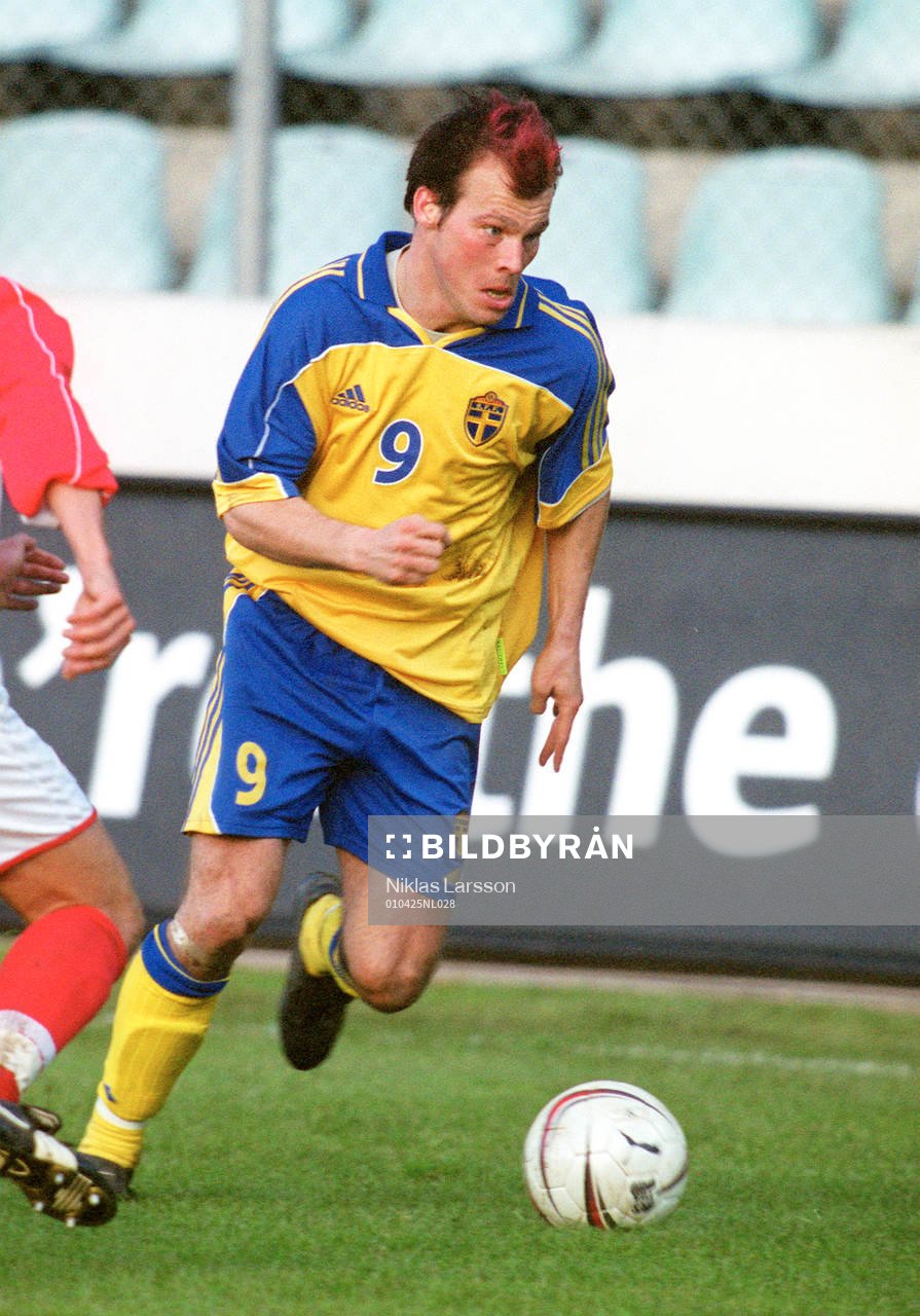 Fredrik Ljungberg, Sverige