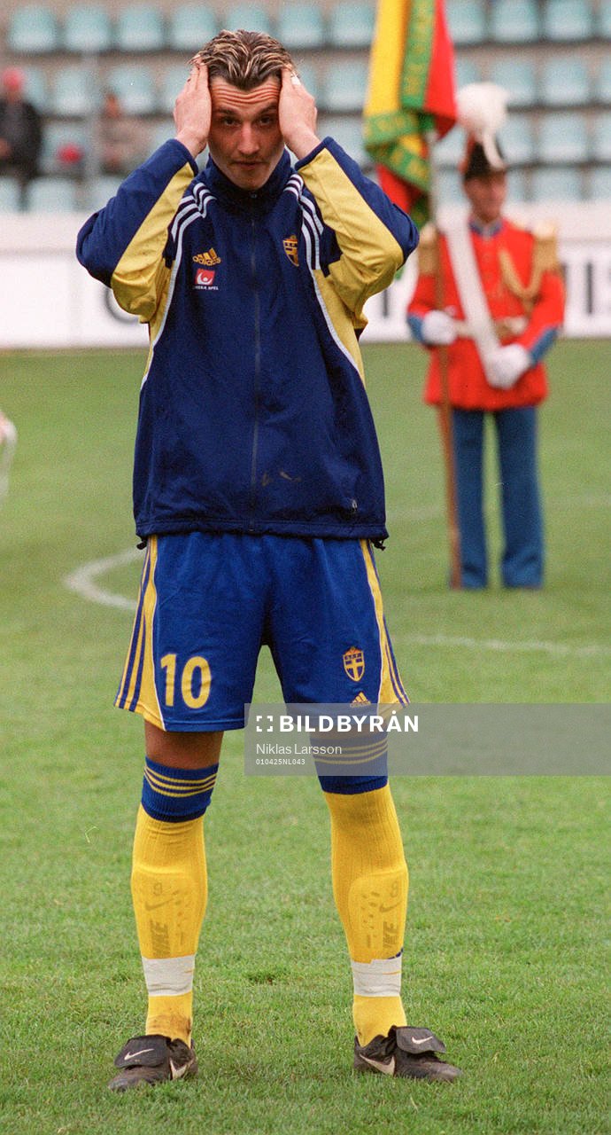 Zlatan Ibrahimovic, Sverige