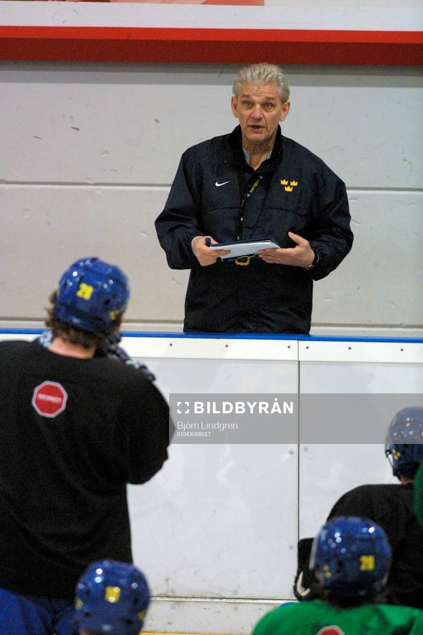 Ishockey, VM, Sverige, Hardy Nilsson har genomgång
