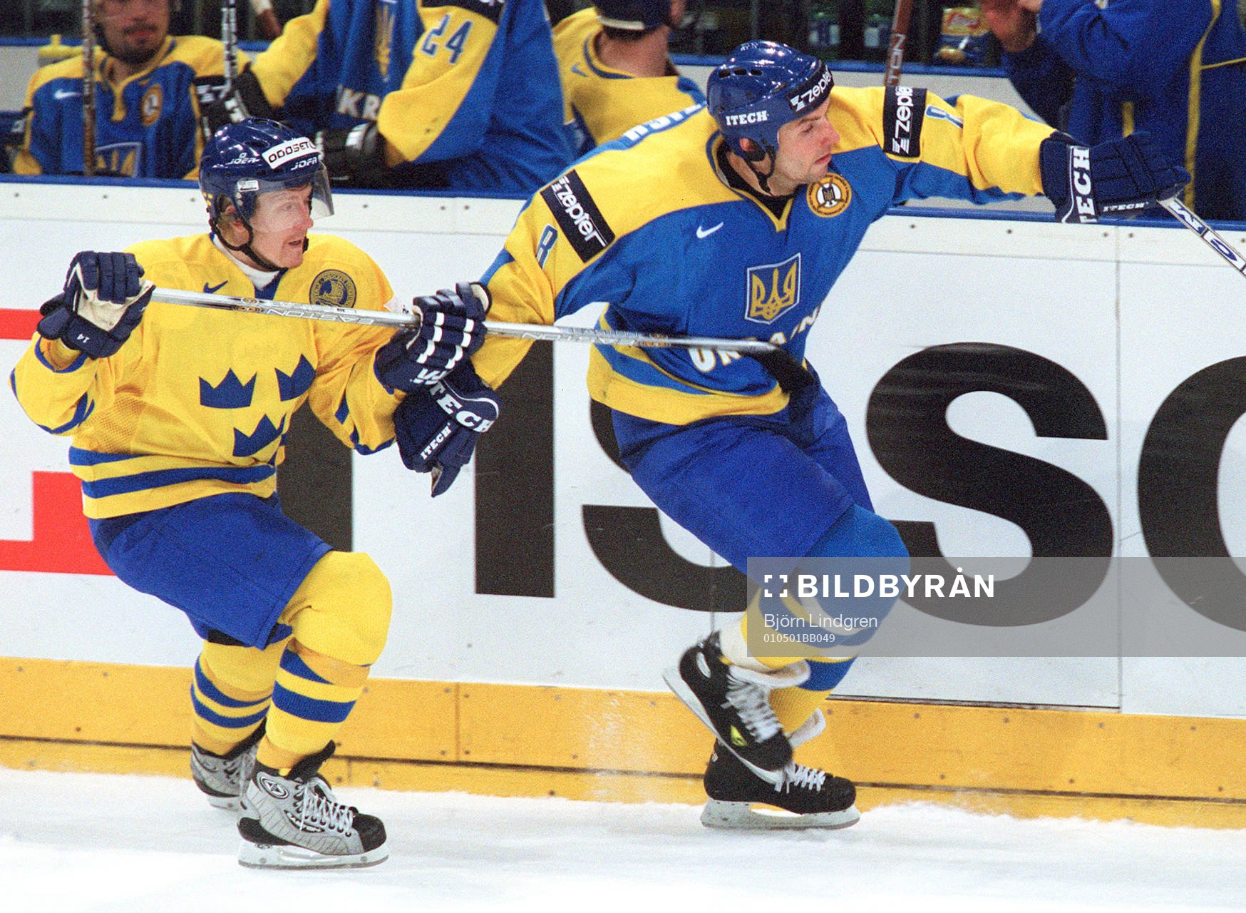 Per-Johan Axelsson hakar en ukrainare. ( hakning )