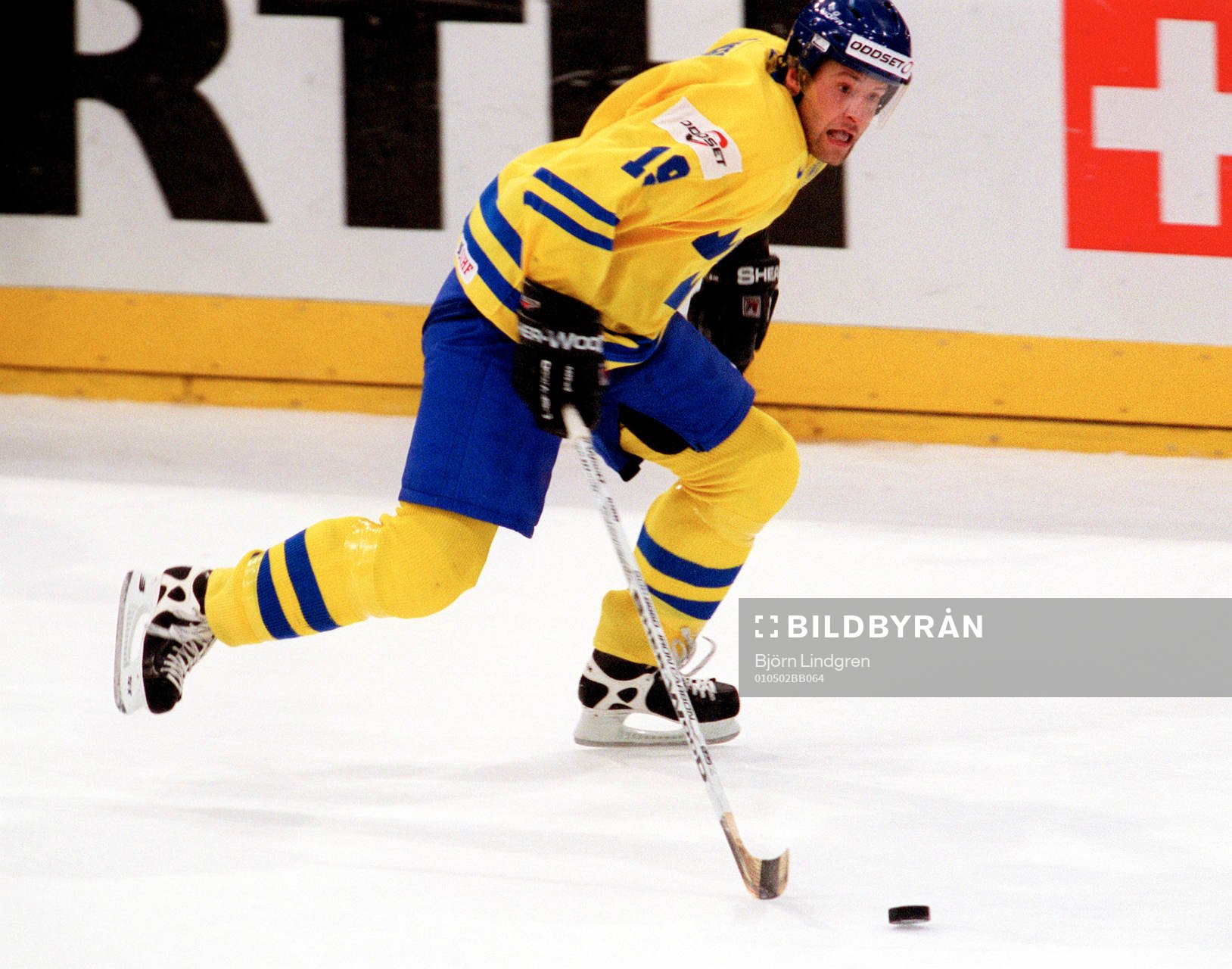 Mikael Renberg