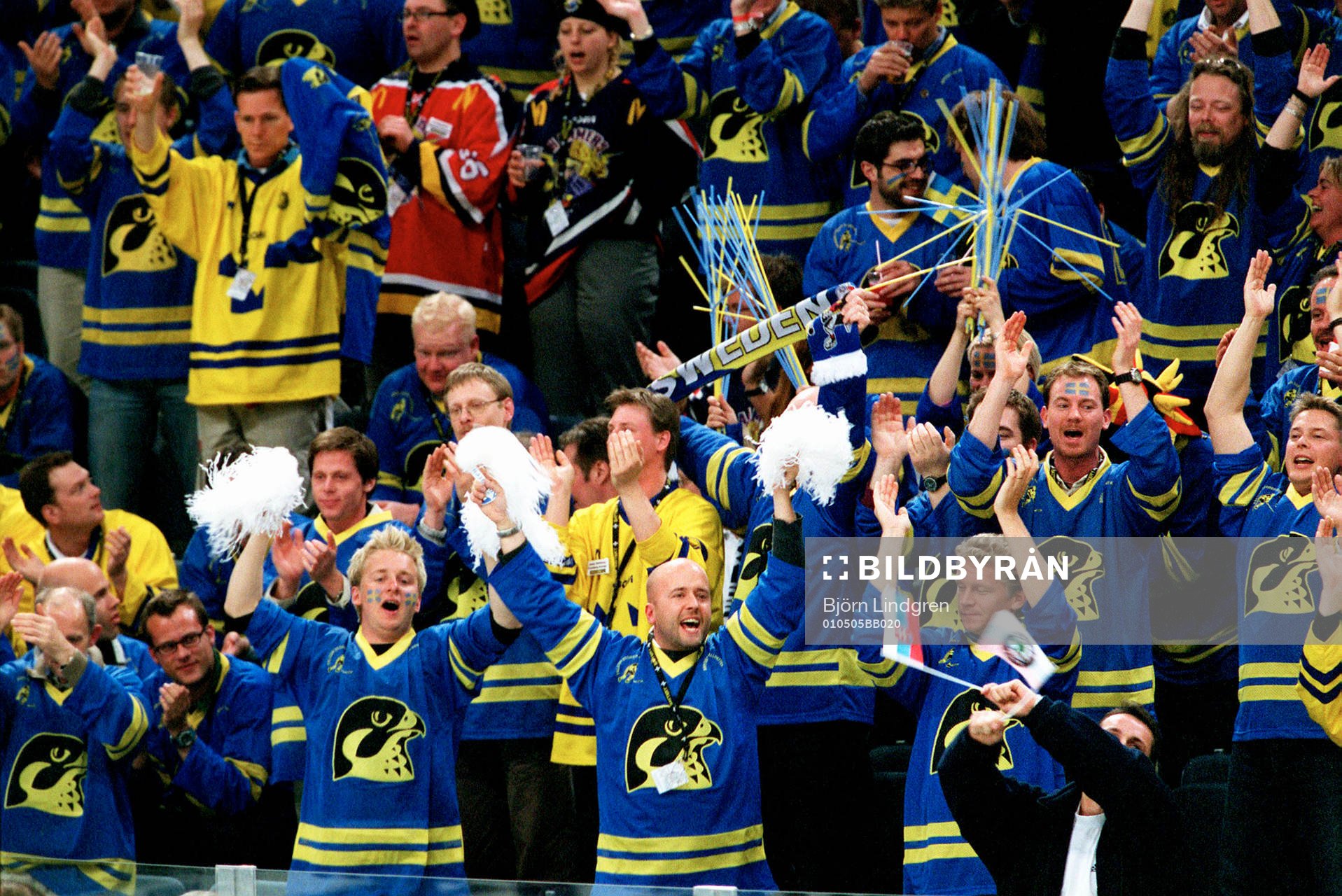 Sverige, fans, supporter, publik, jubel