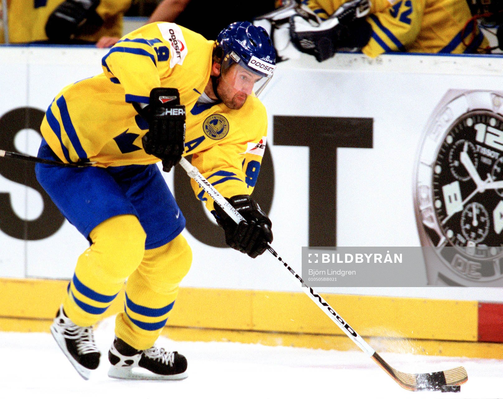 Mikael Renberg, Sverige