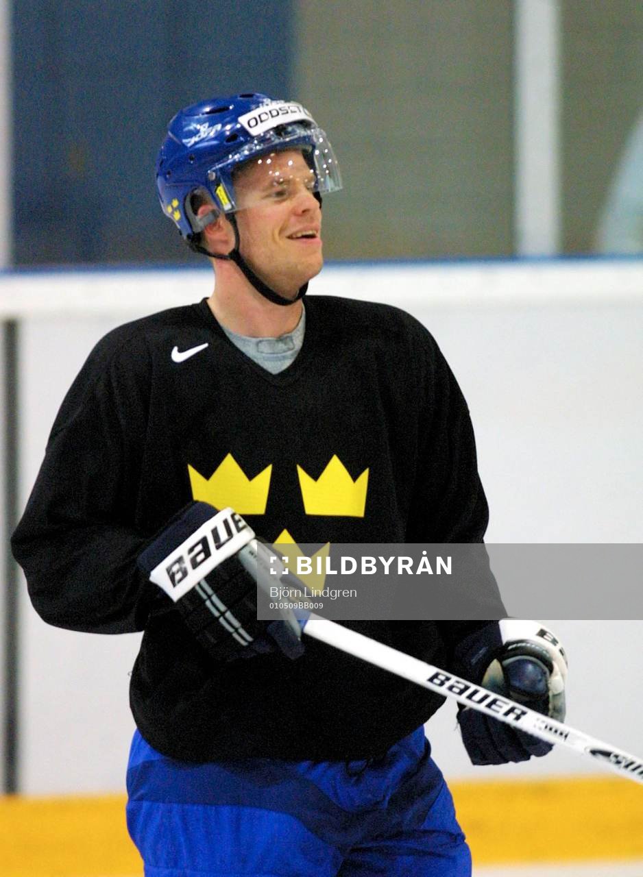Fredrik Modin, Sverige