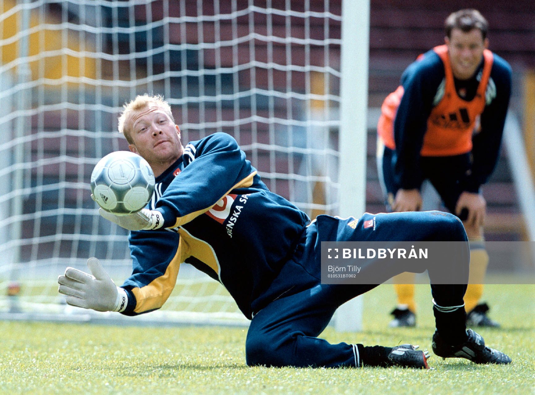 Fotboll, VM-Kval, Sverige, Magnus Hedman, Sverige