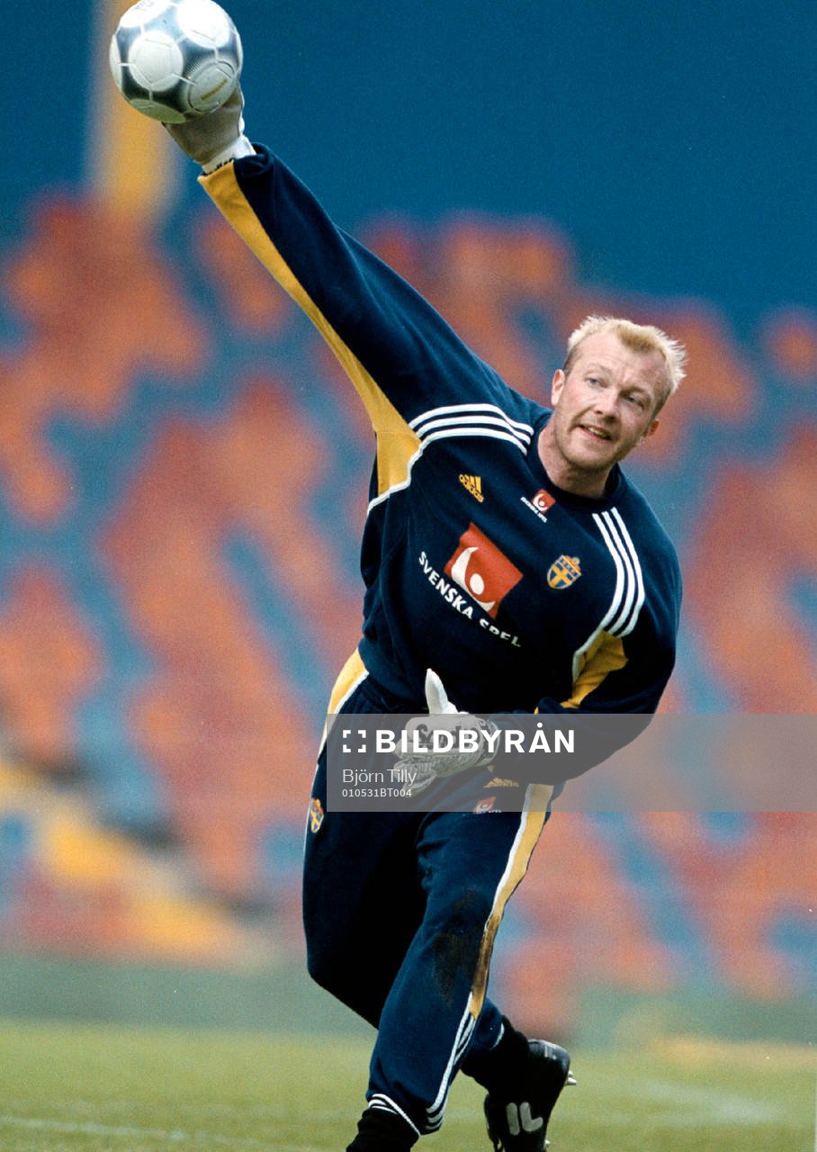 Fotboll, VM-Kval, Magnus Hedman, Sverige