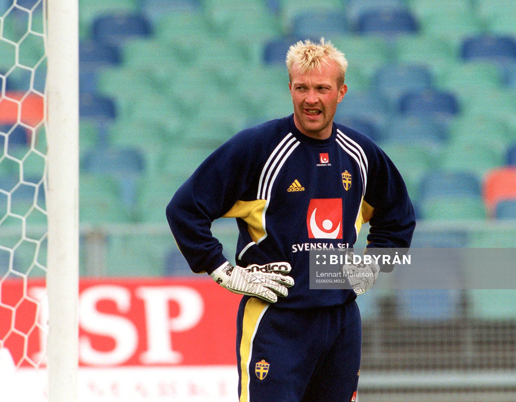 Magnus Hedman, Sverige