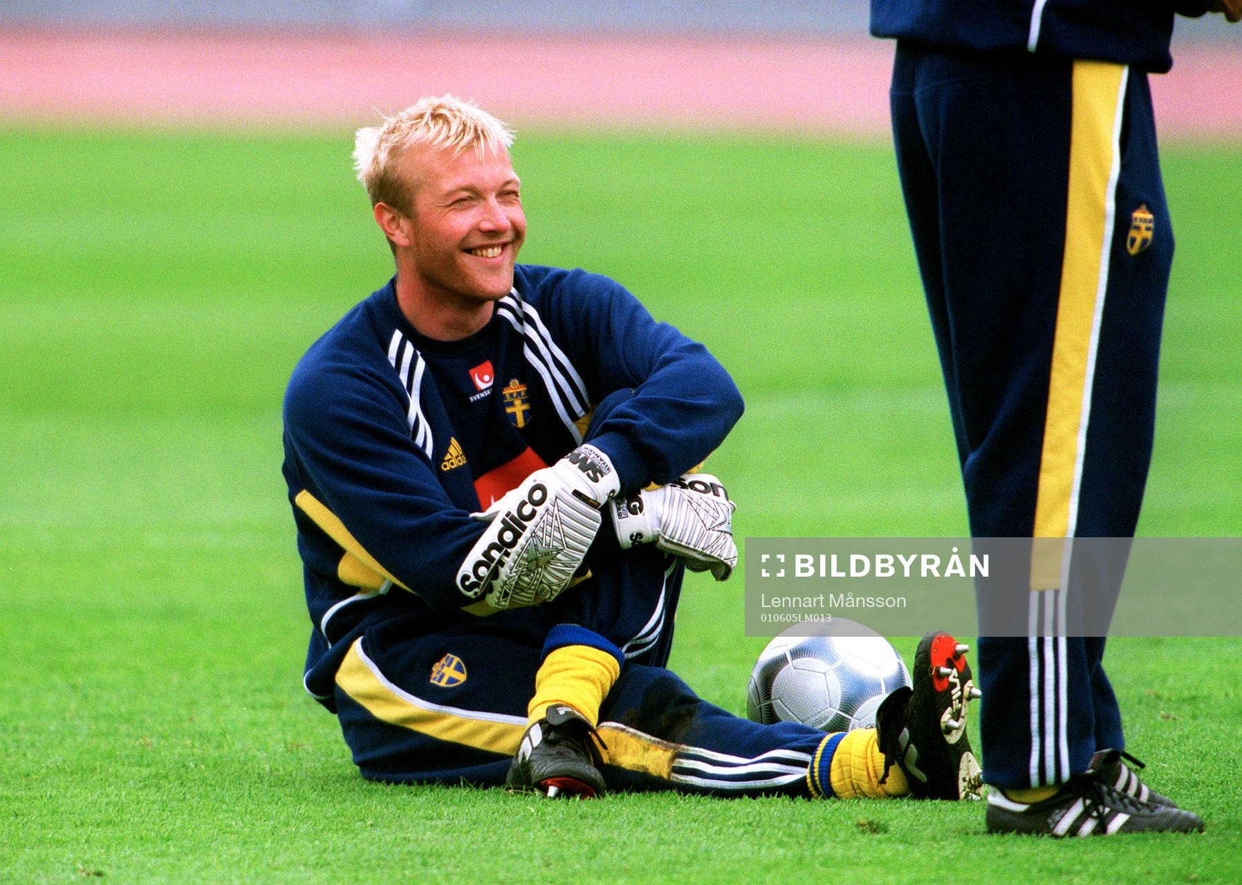 Magnus Hedman, Sverige