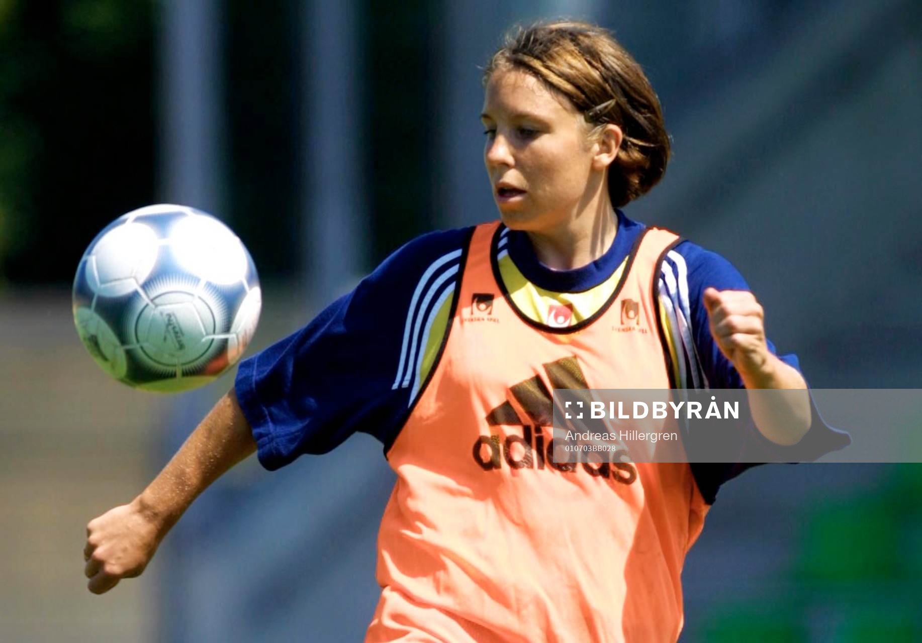 Hanna Ljungberg, Sverige
